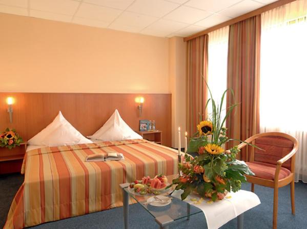 Center Main Franken Отель